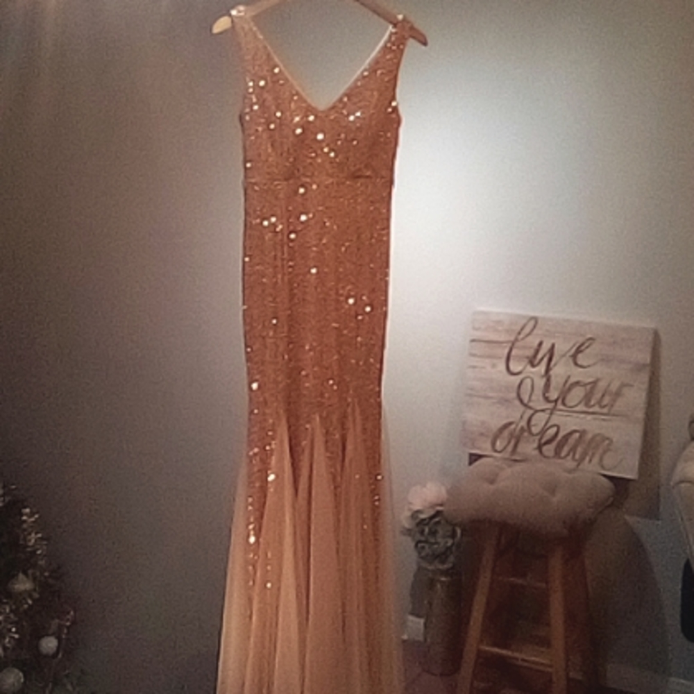 Cinderella dress